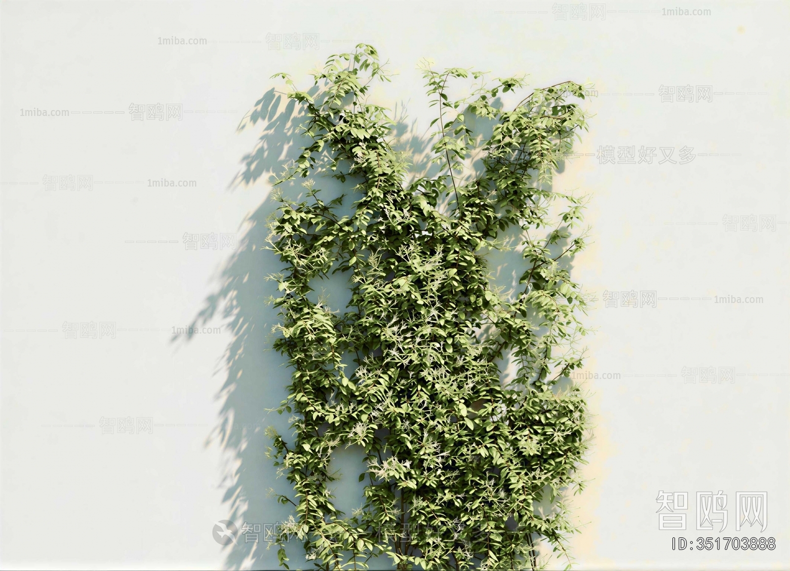 Modern Vine
