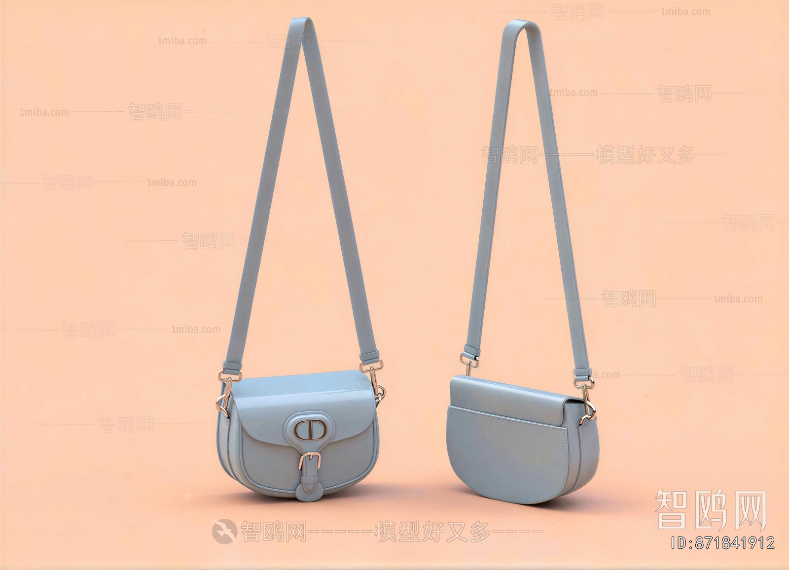 Modern Lady's Bag