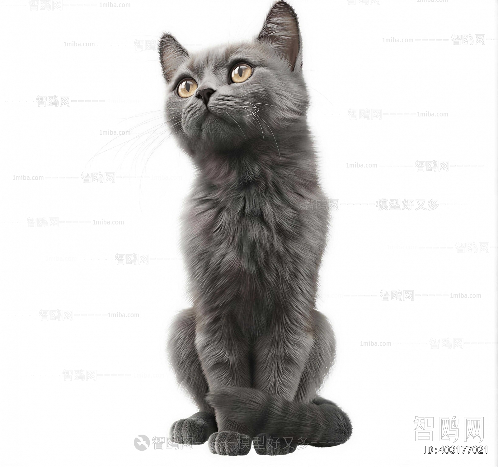 Modern Animal Cat
