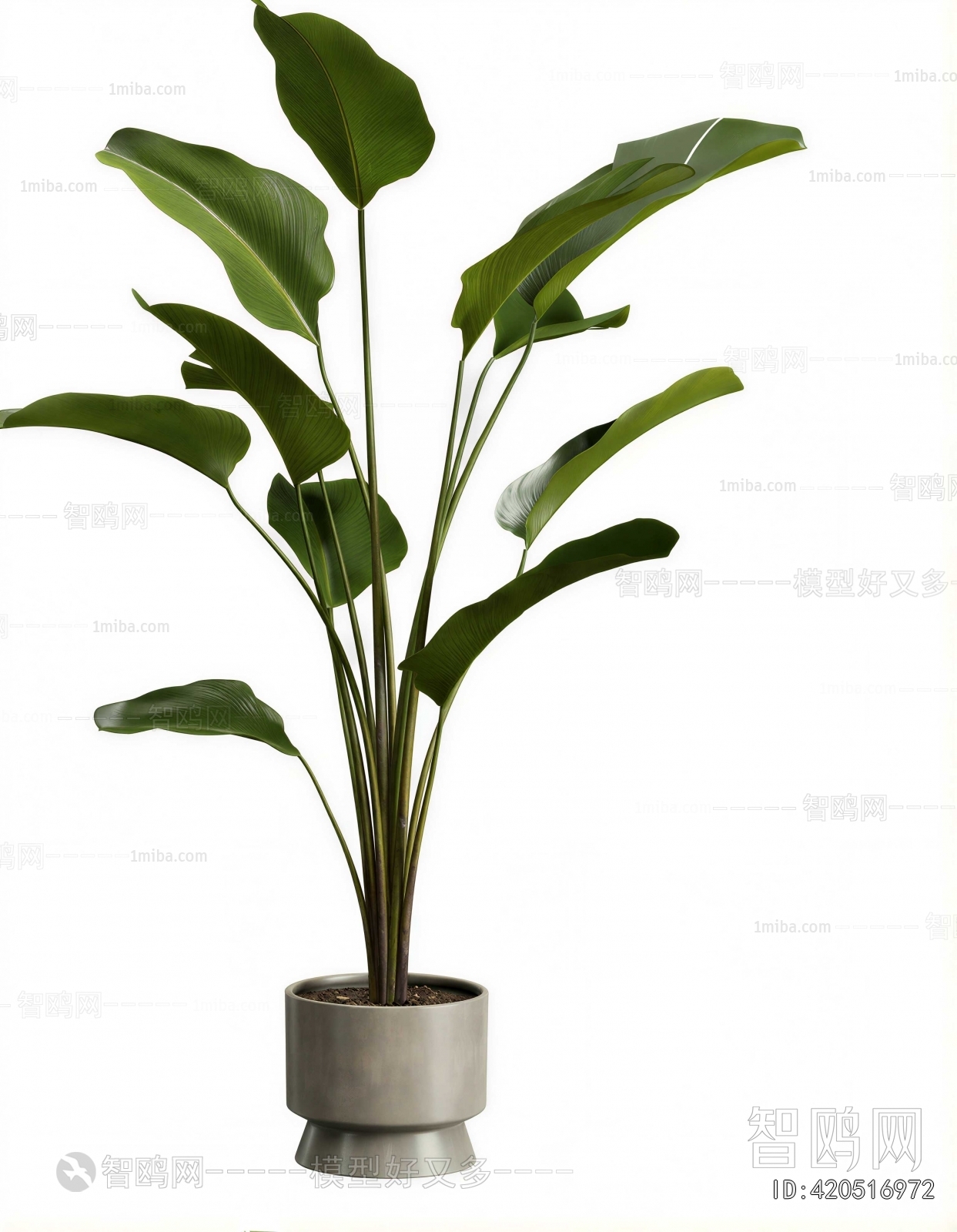 Modern Ground Green Plant Potted Plants