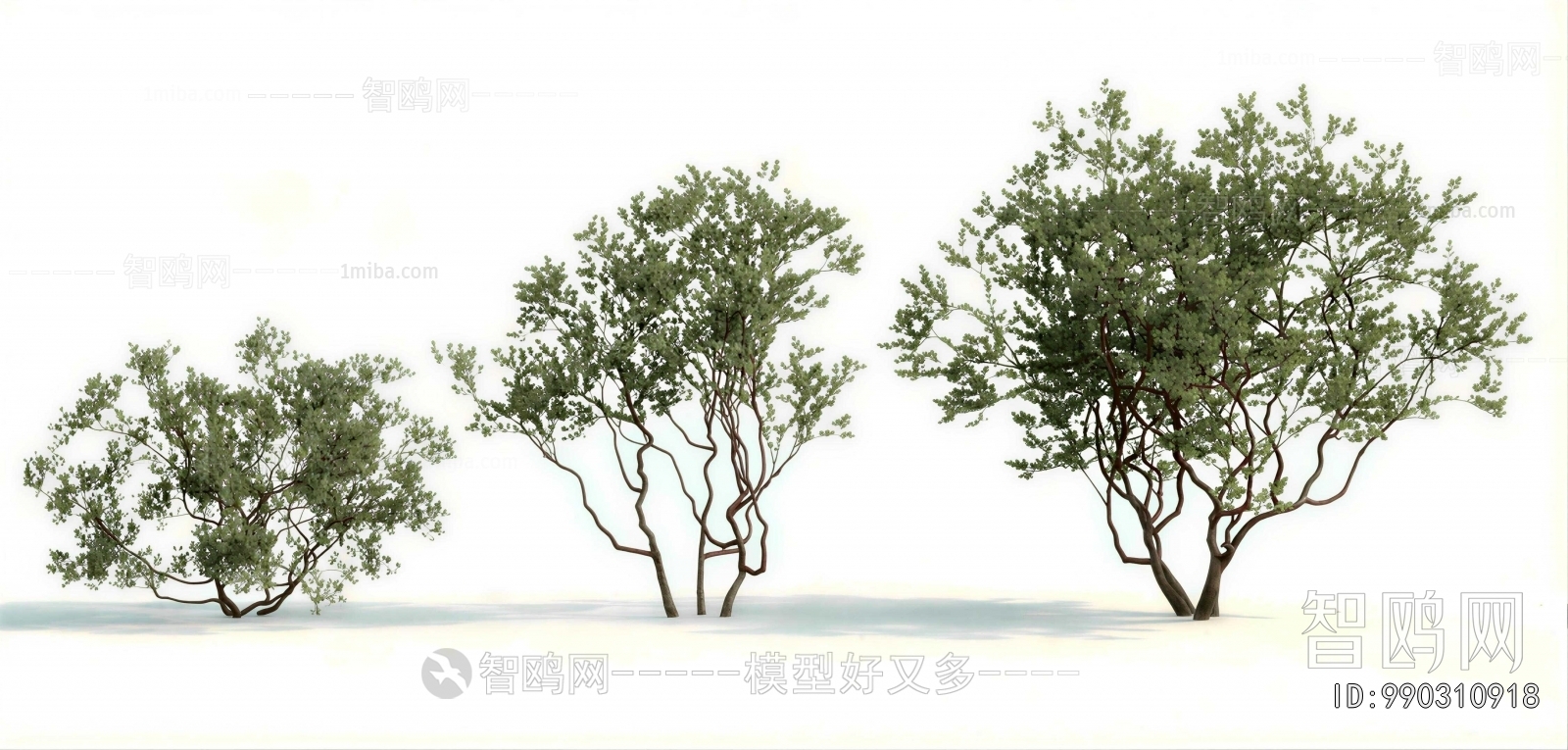 Modern Tree