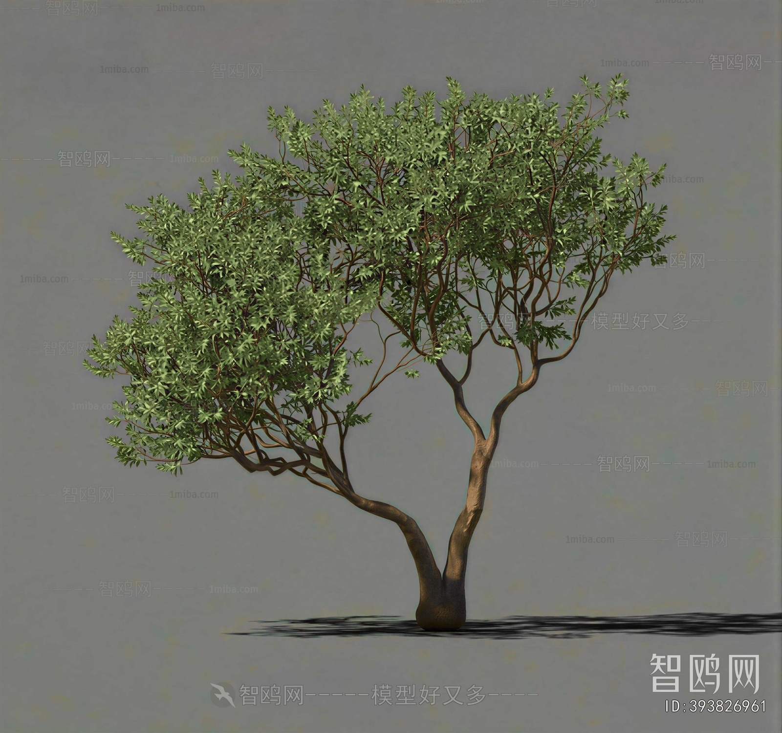 Modern Tree