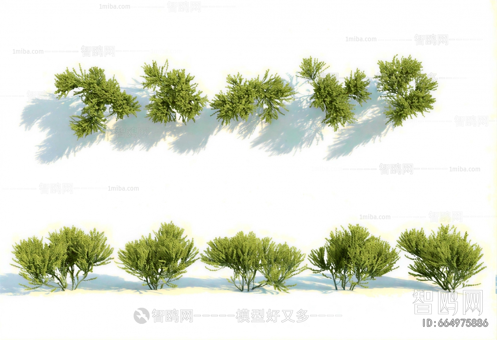Modern Shrubbery