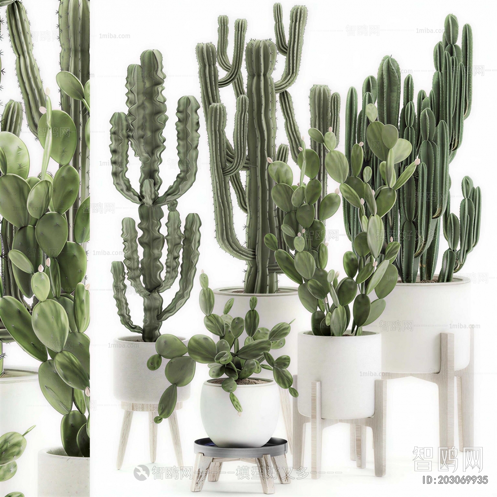 Modern Ground Green Plant Potted Plants