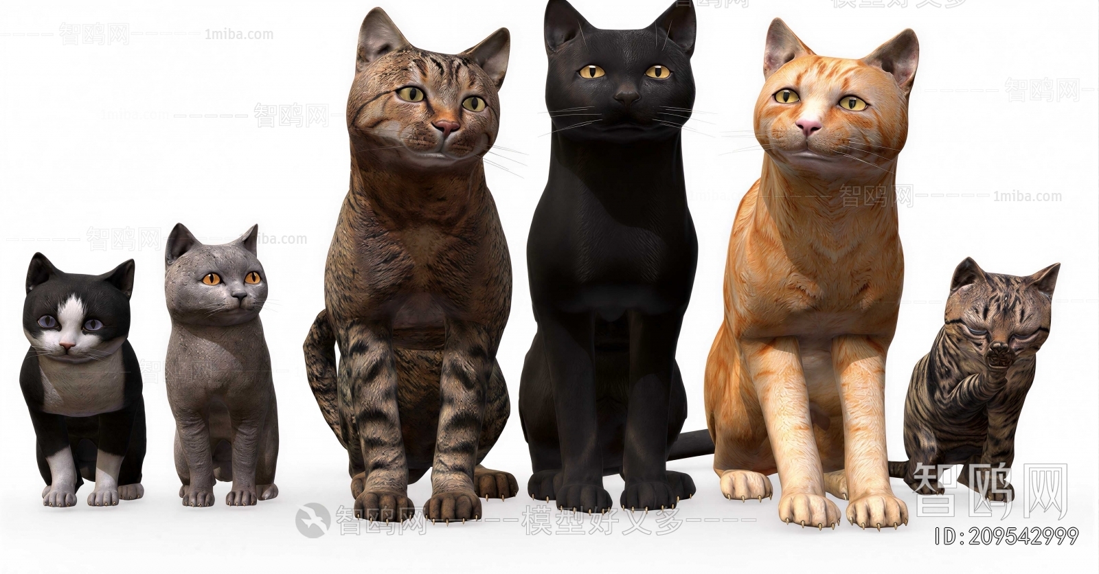 Modern Animal Cat