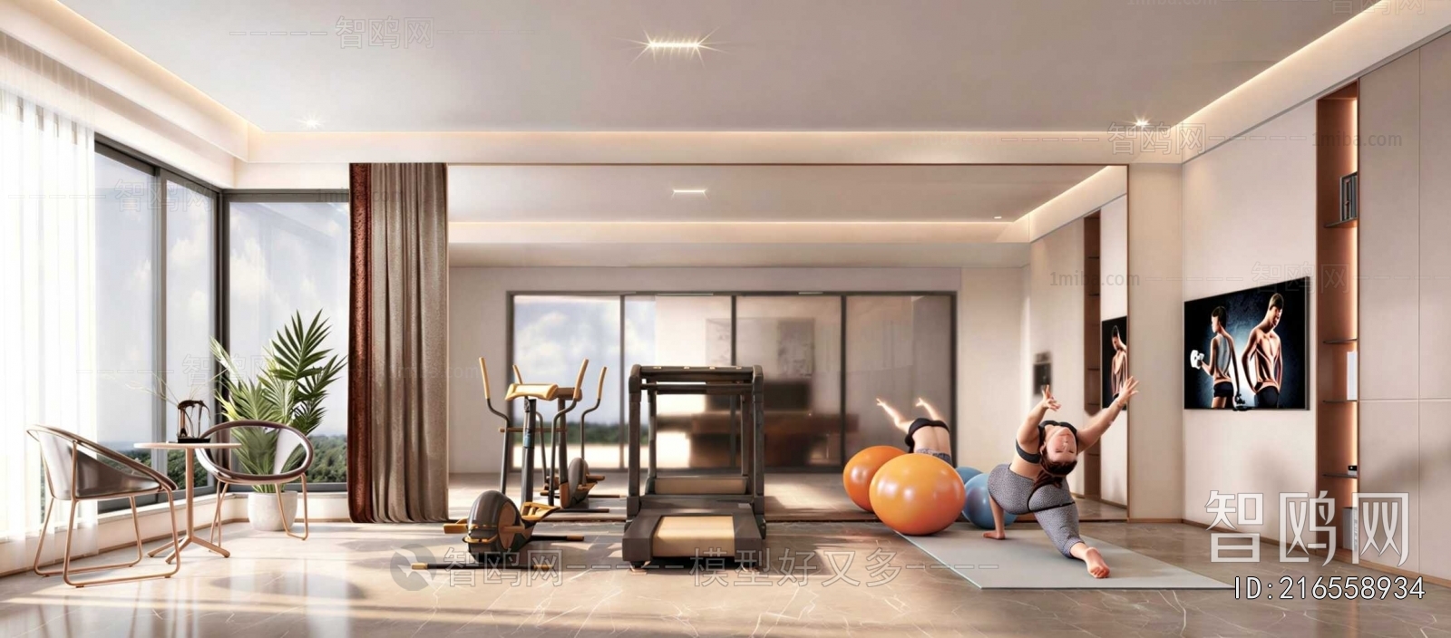 Modern Home Fitness Room