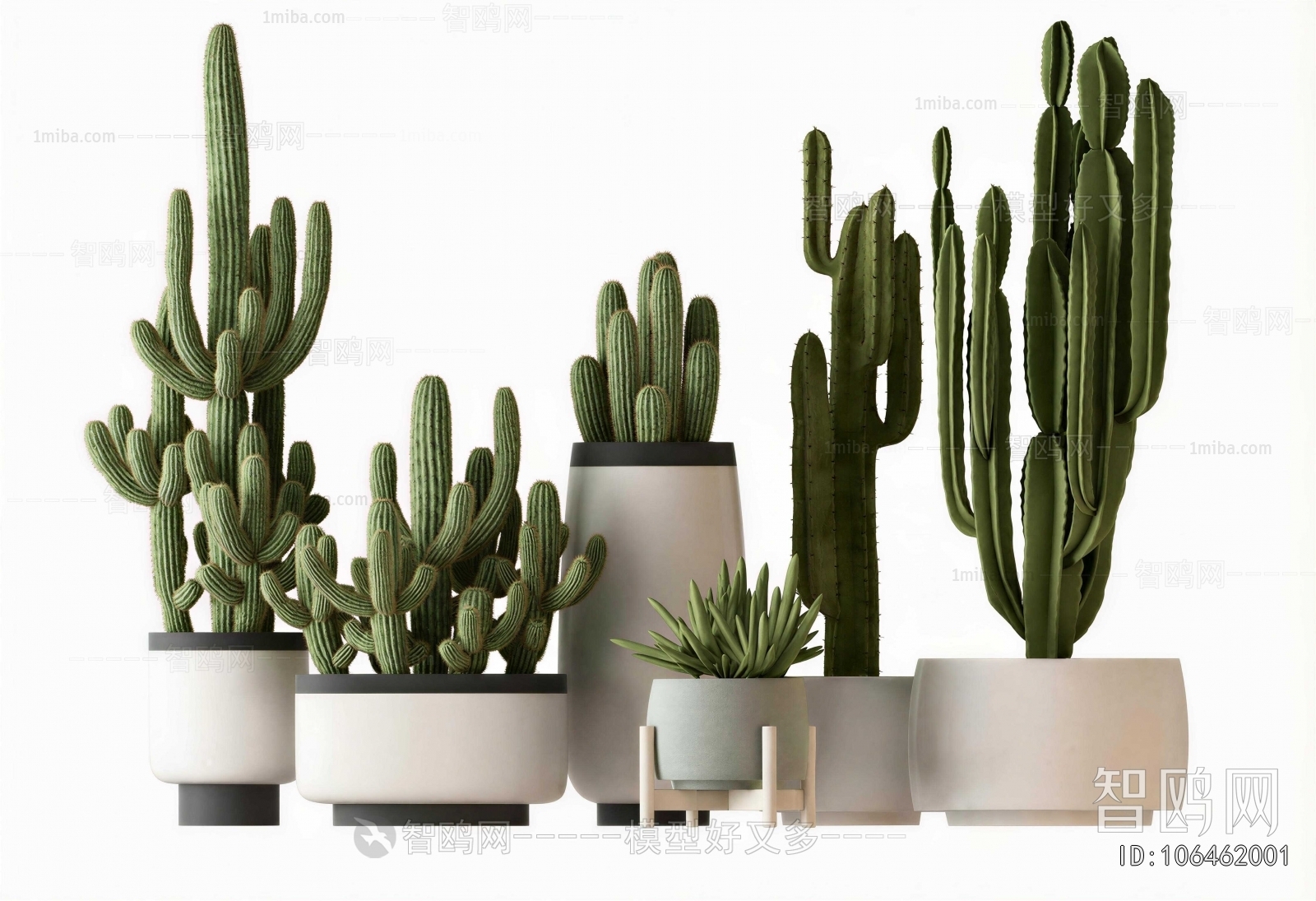 Modern Ground Green Plant Potted Plants