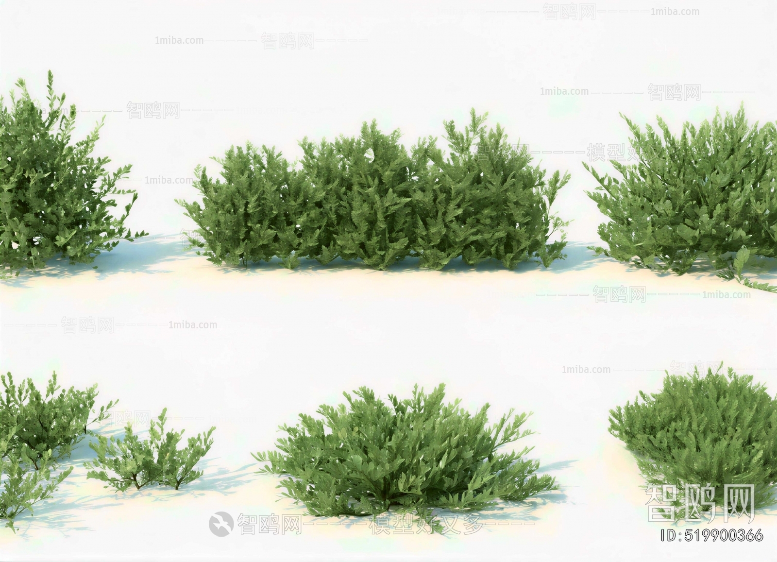 Modern Shrubbery