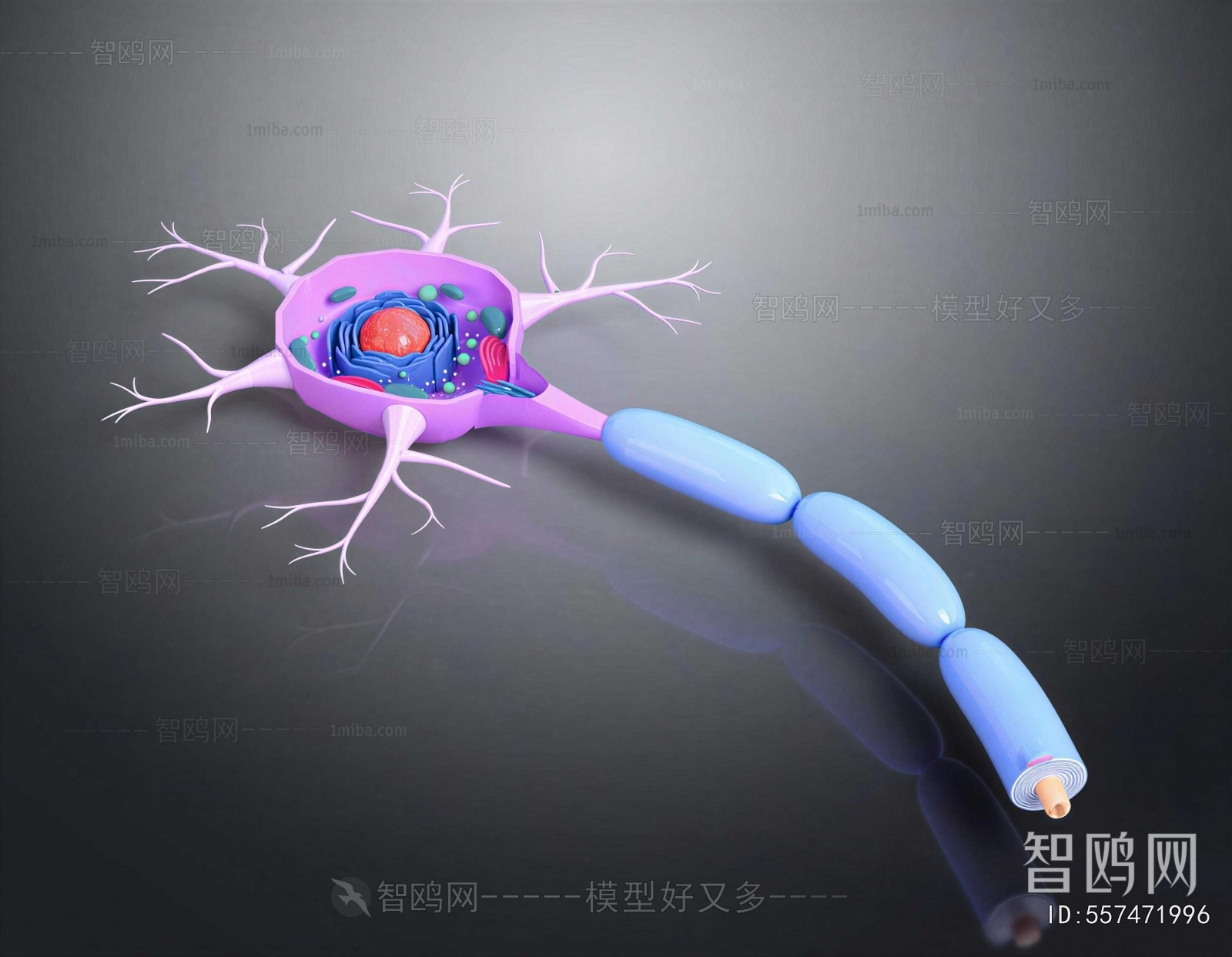 Modern Medical Equipment
