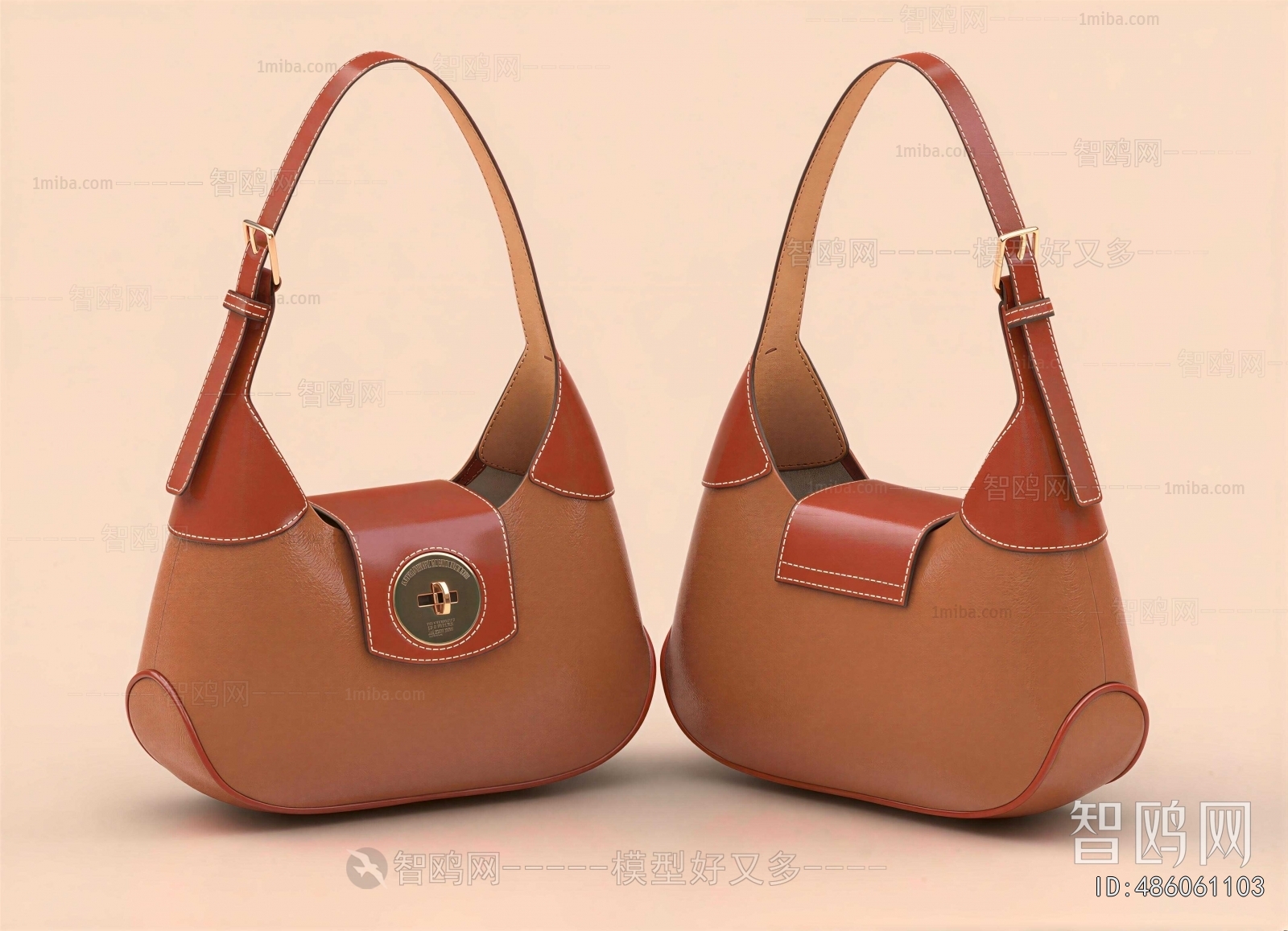 Modern Lady's Bag