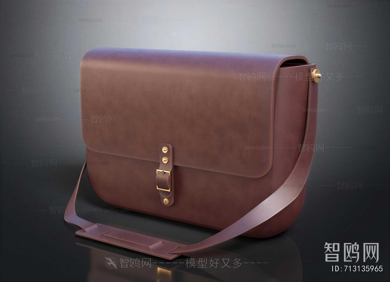 Modern Lady's Bag