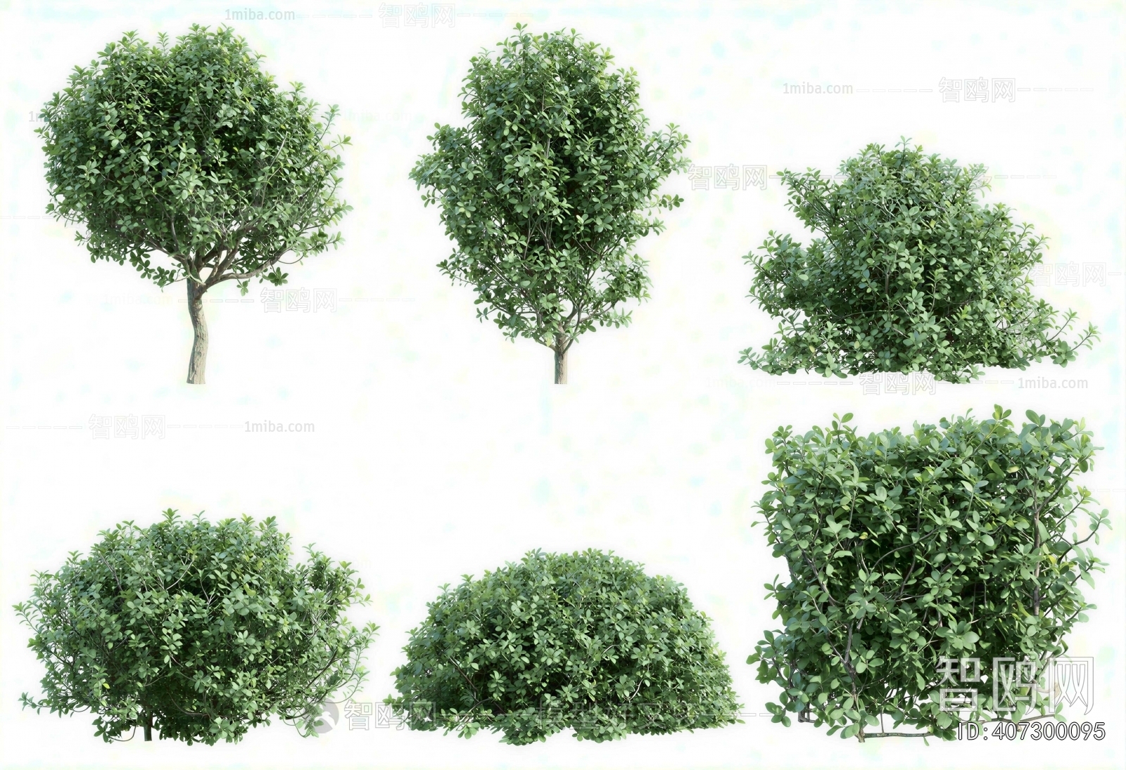 Modern Shrubbery