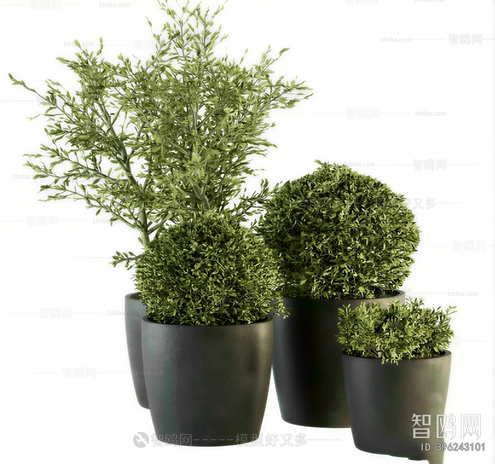Modern Ground Green Plant Potted Plants