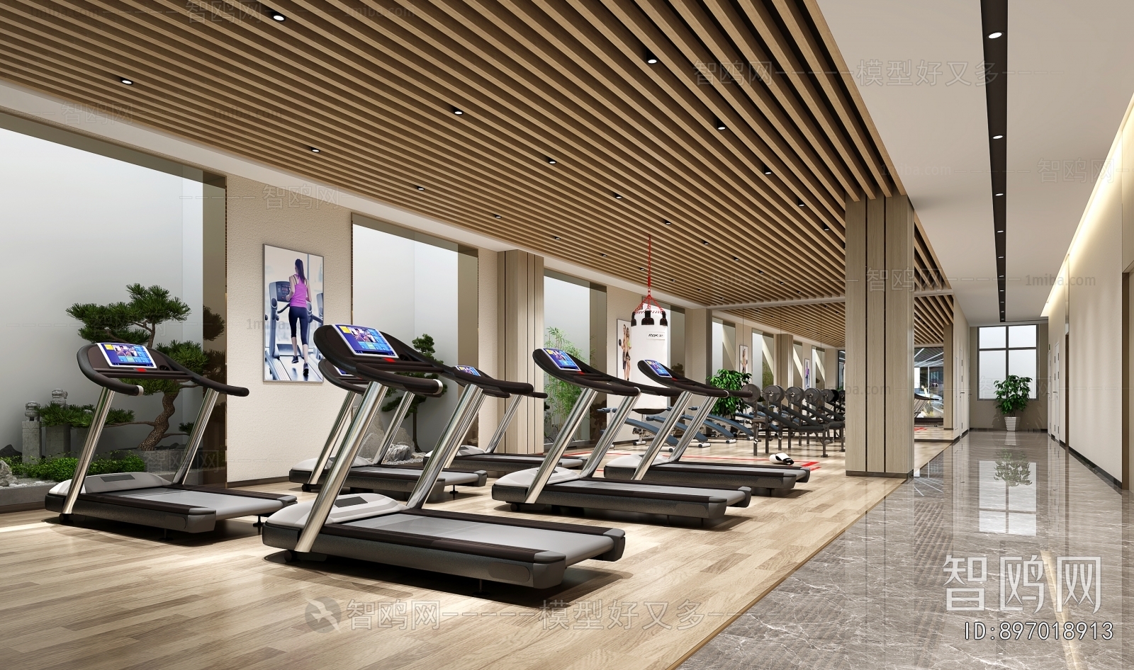 Modern Gym