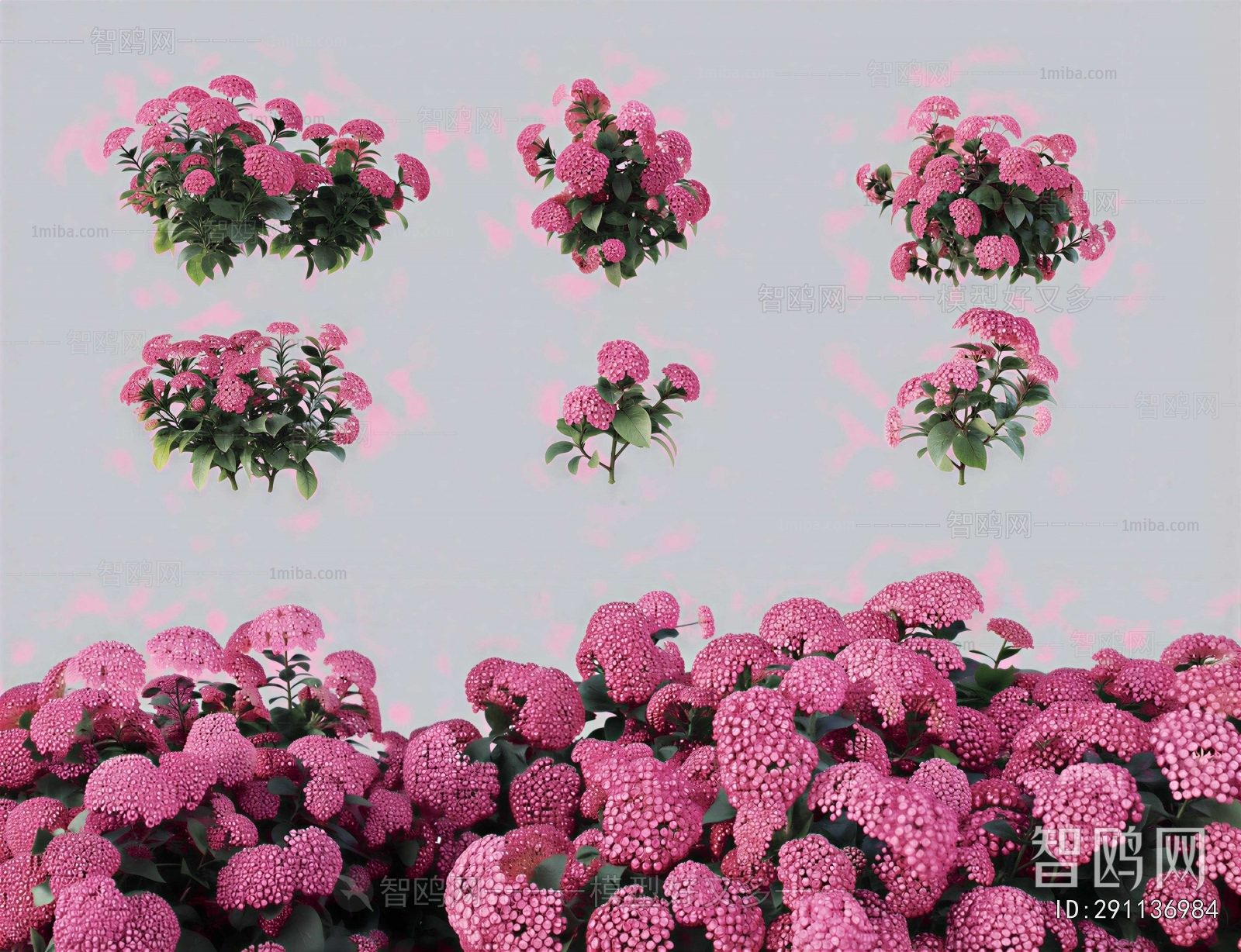 Modern Flowers And Grass