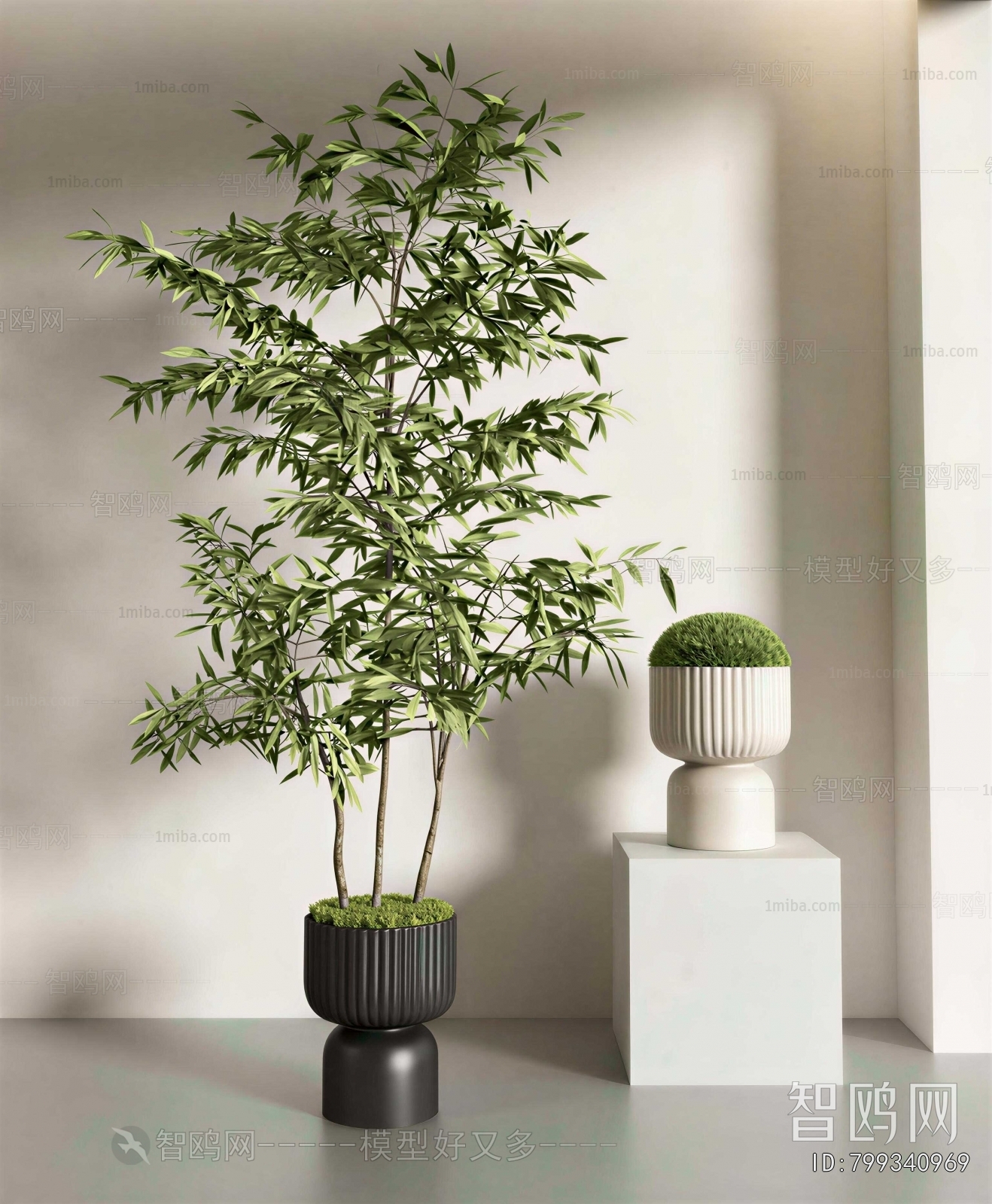 Modern Ground Green Plant Potted Plants