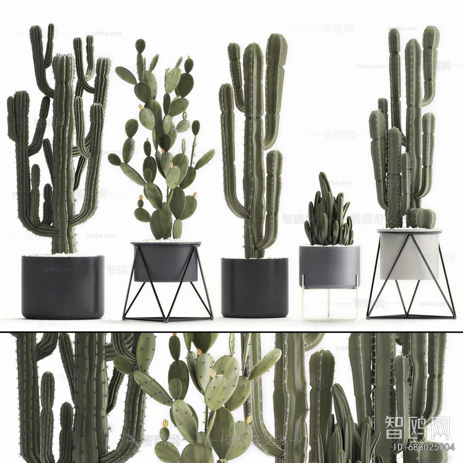 Modern Ground Green Plant Potted Plants
