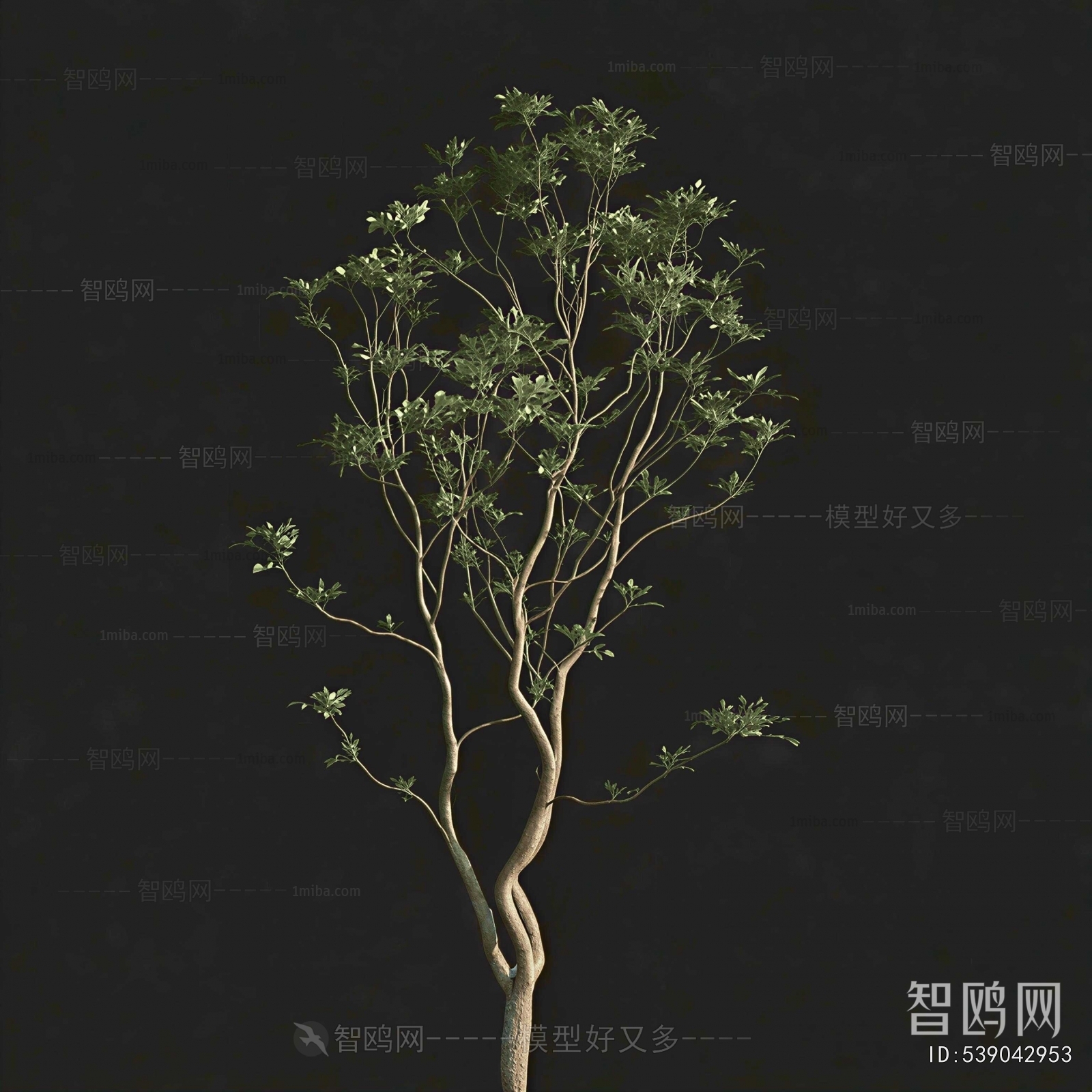 Modern Tree