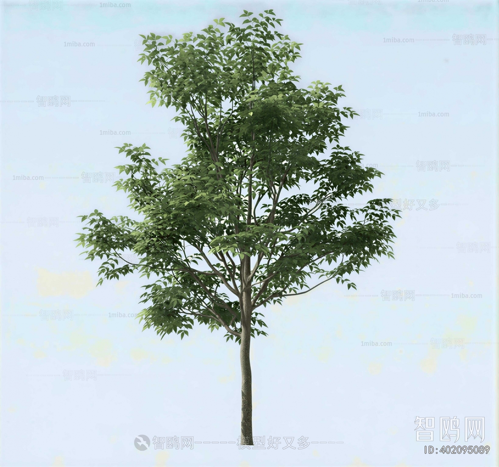Modern Tree