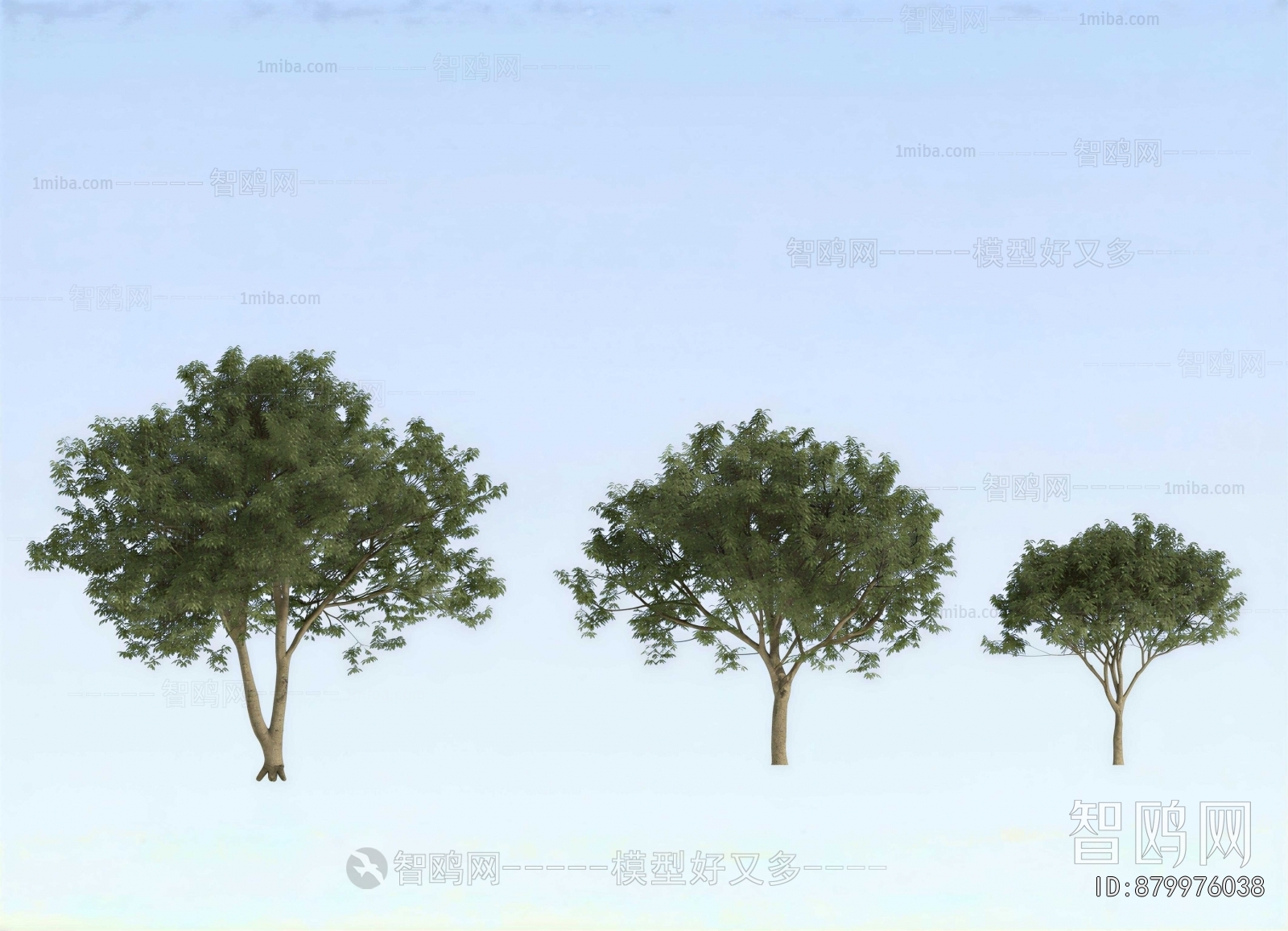 Modern Tree