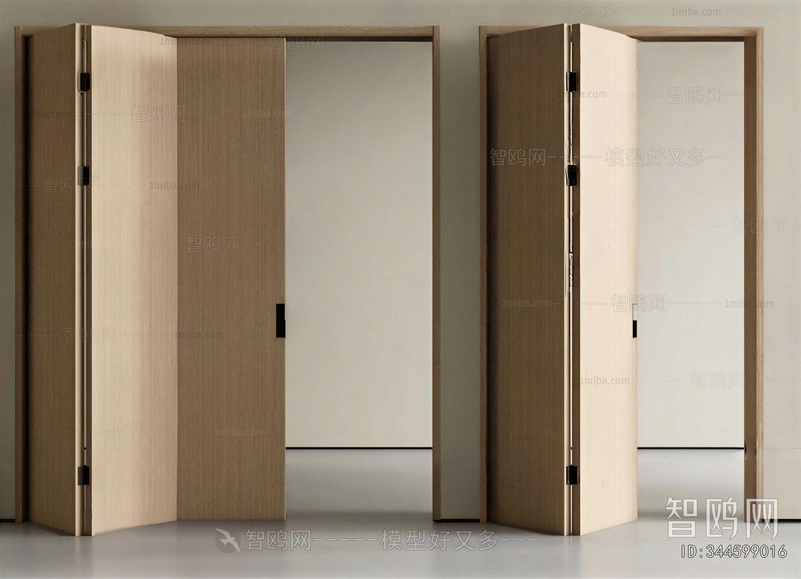 Modern Door