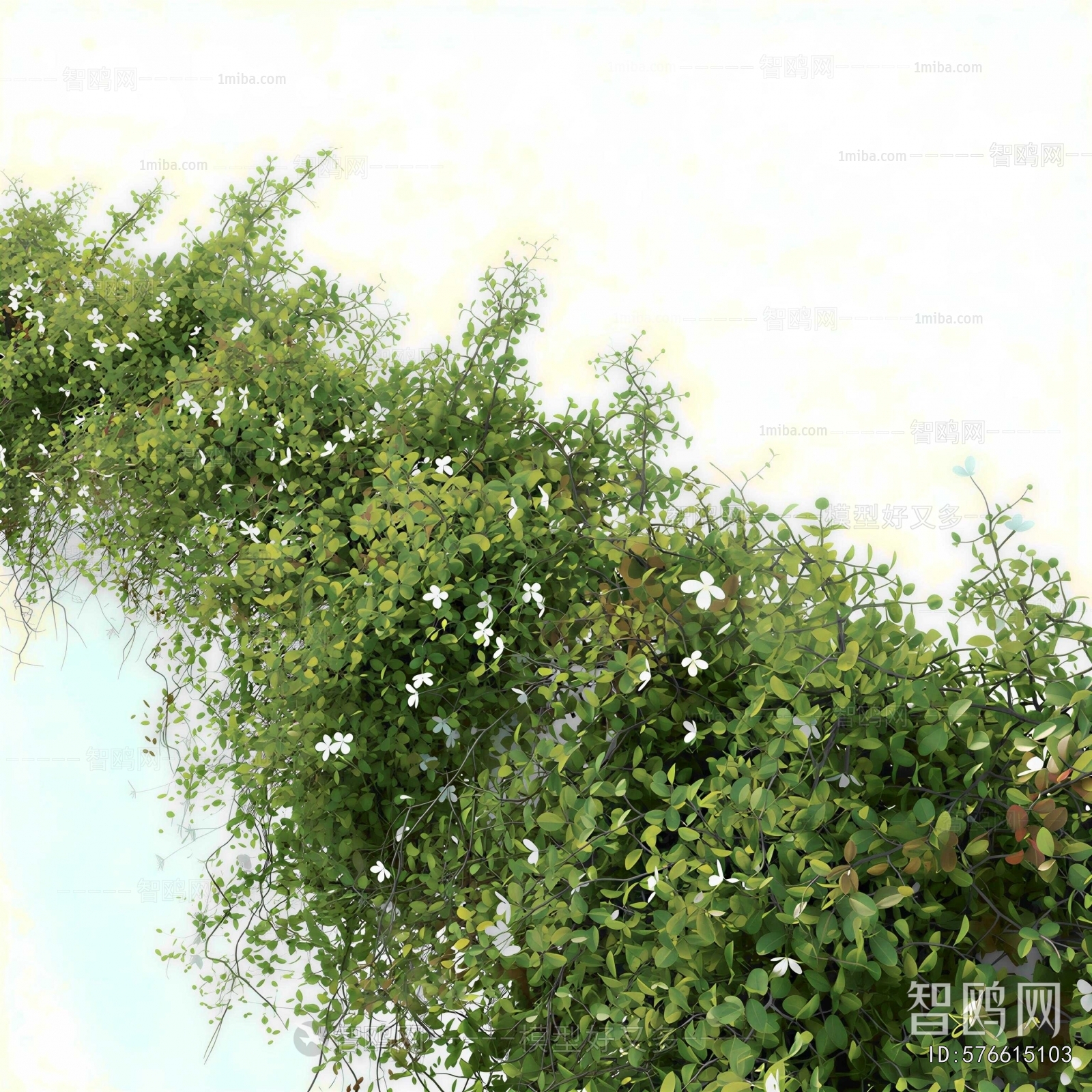Modern Vine
