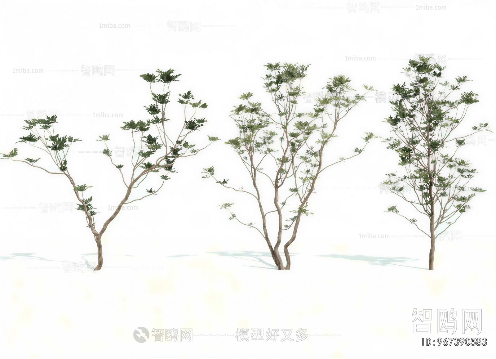 Modern Tree
