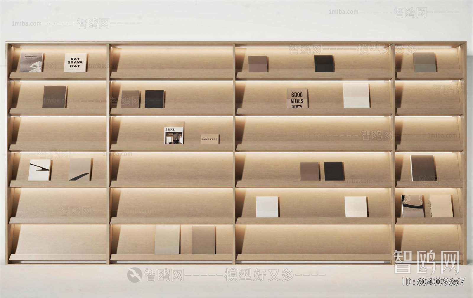 Modern Bookshelf
