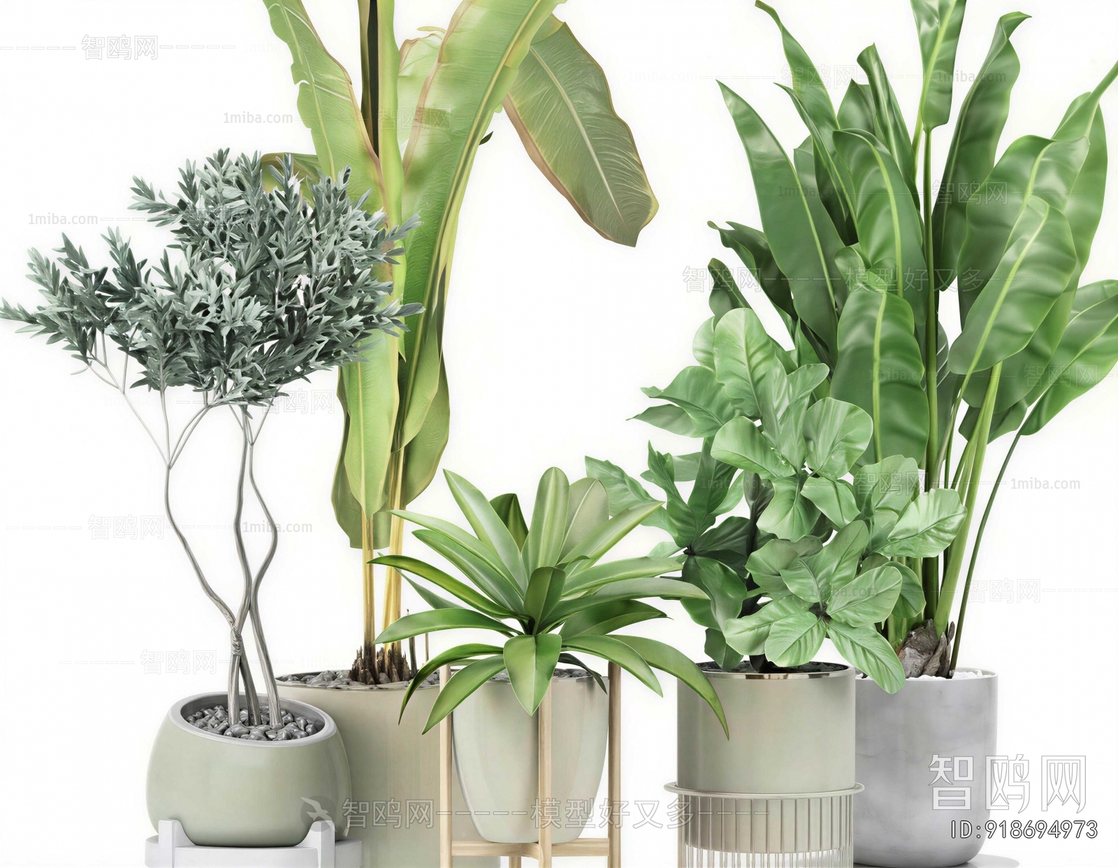 Modern Ground Green Plant Potted Plants