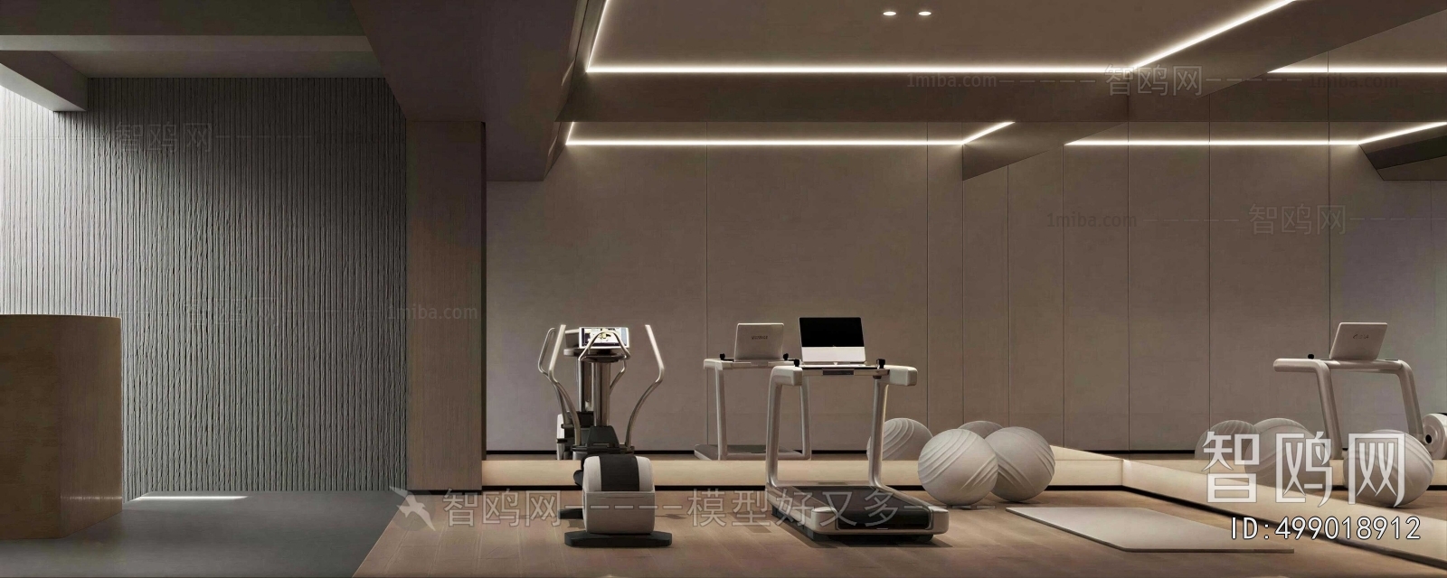 Modern Home Fitness Room