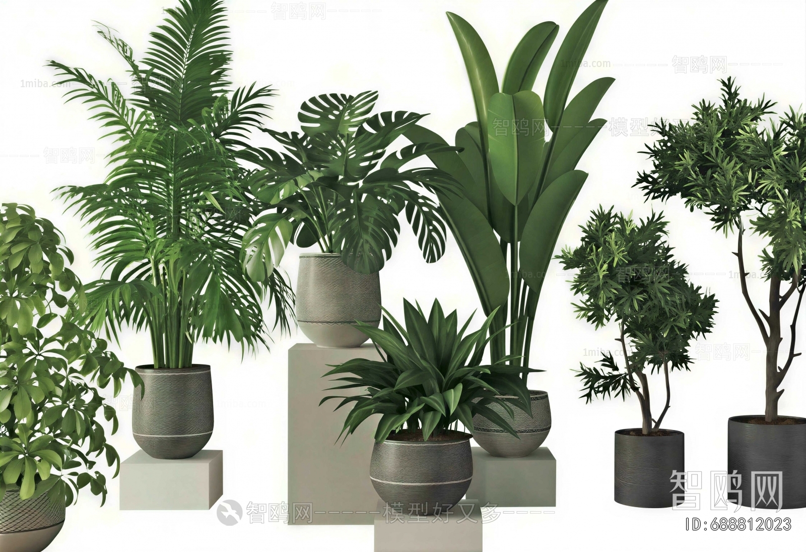 Modern Ground Green Plant Potted Plants