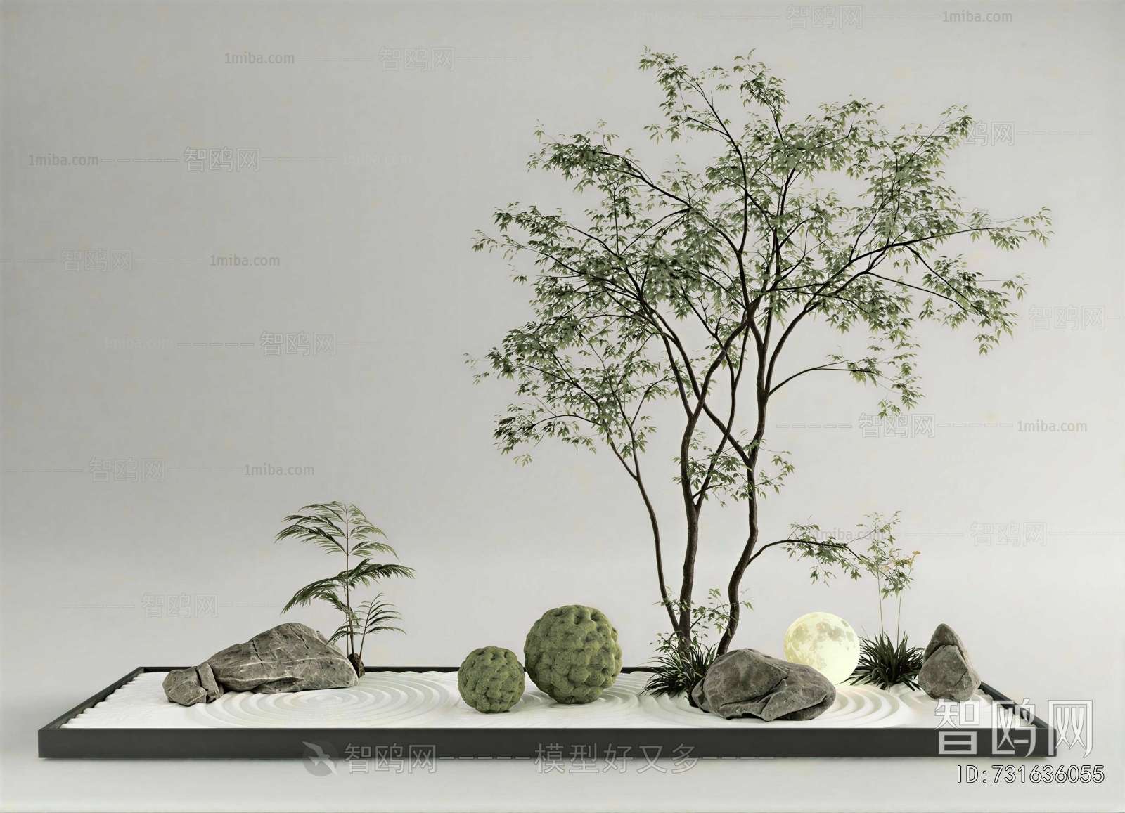 Modern Plant Landscaping