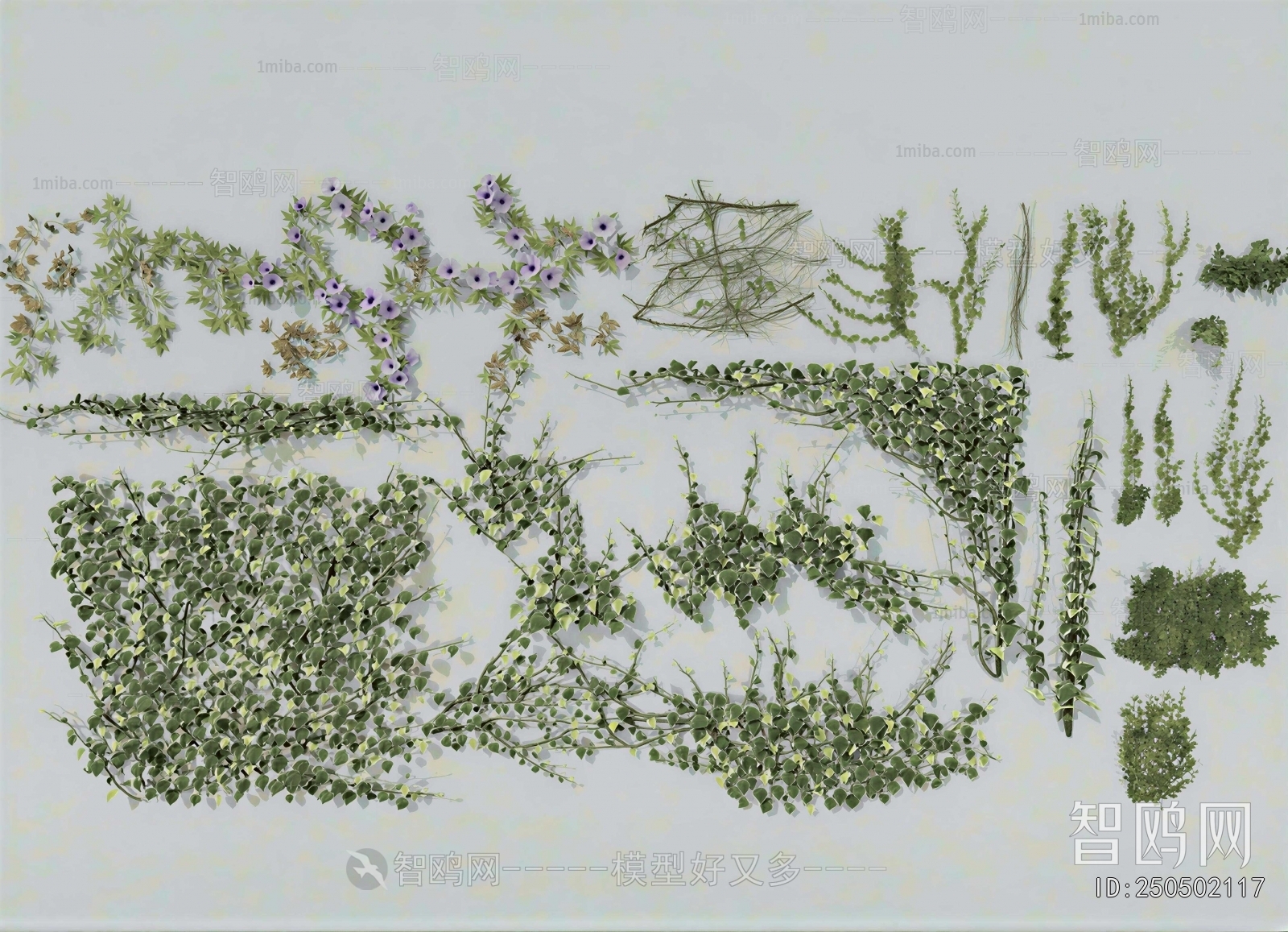 Modern Vine
