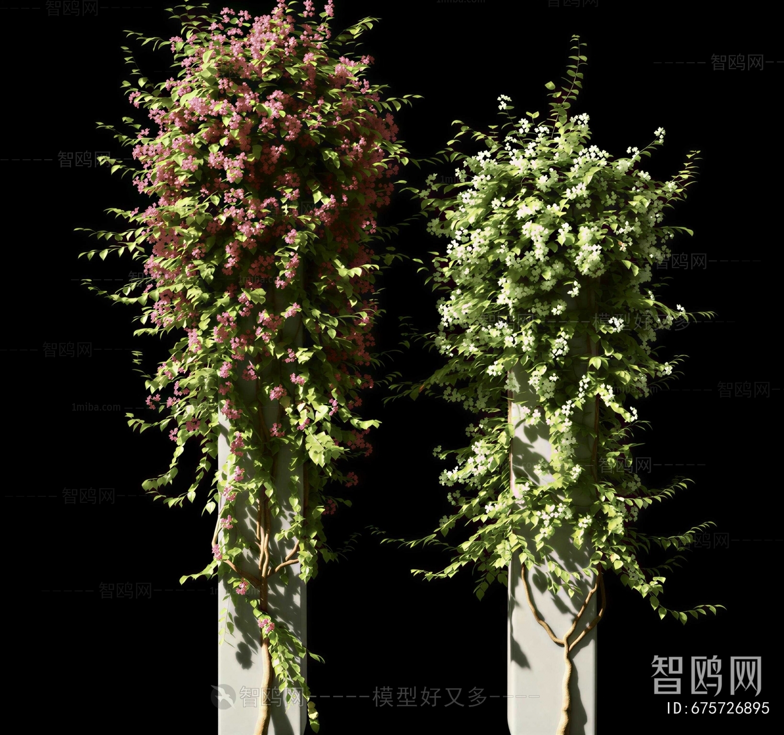 Modern Vine