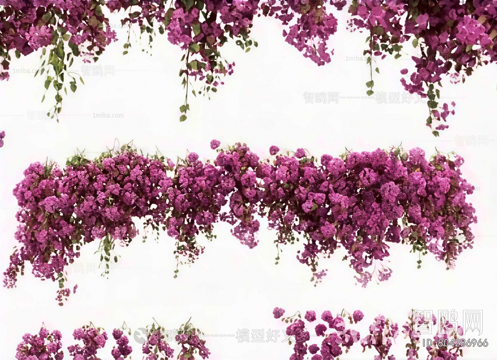 Modern Flowers And Grass