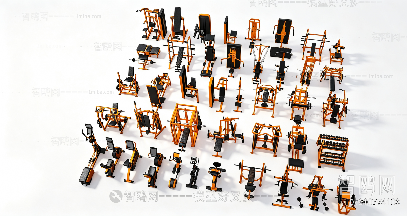 Modern Fitness Equipment