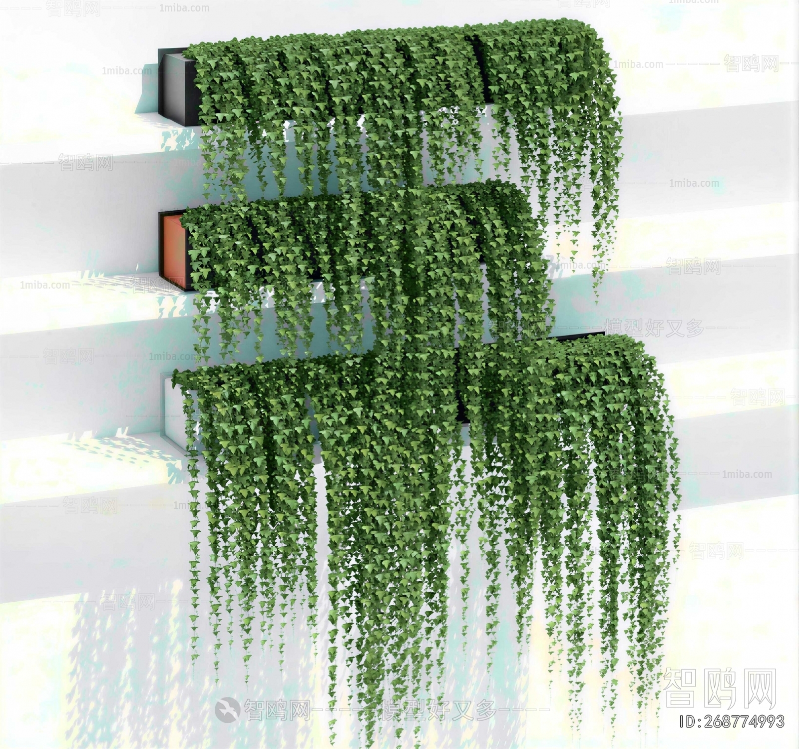 Modern Vine