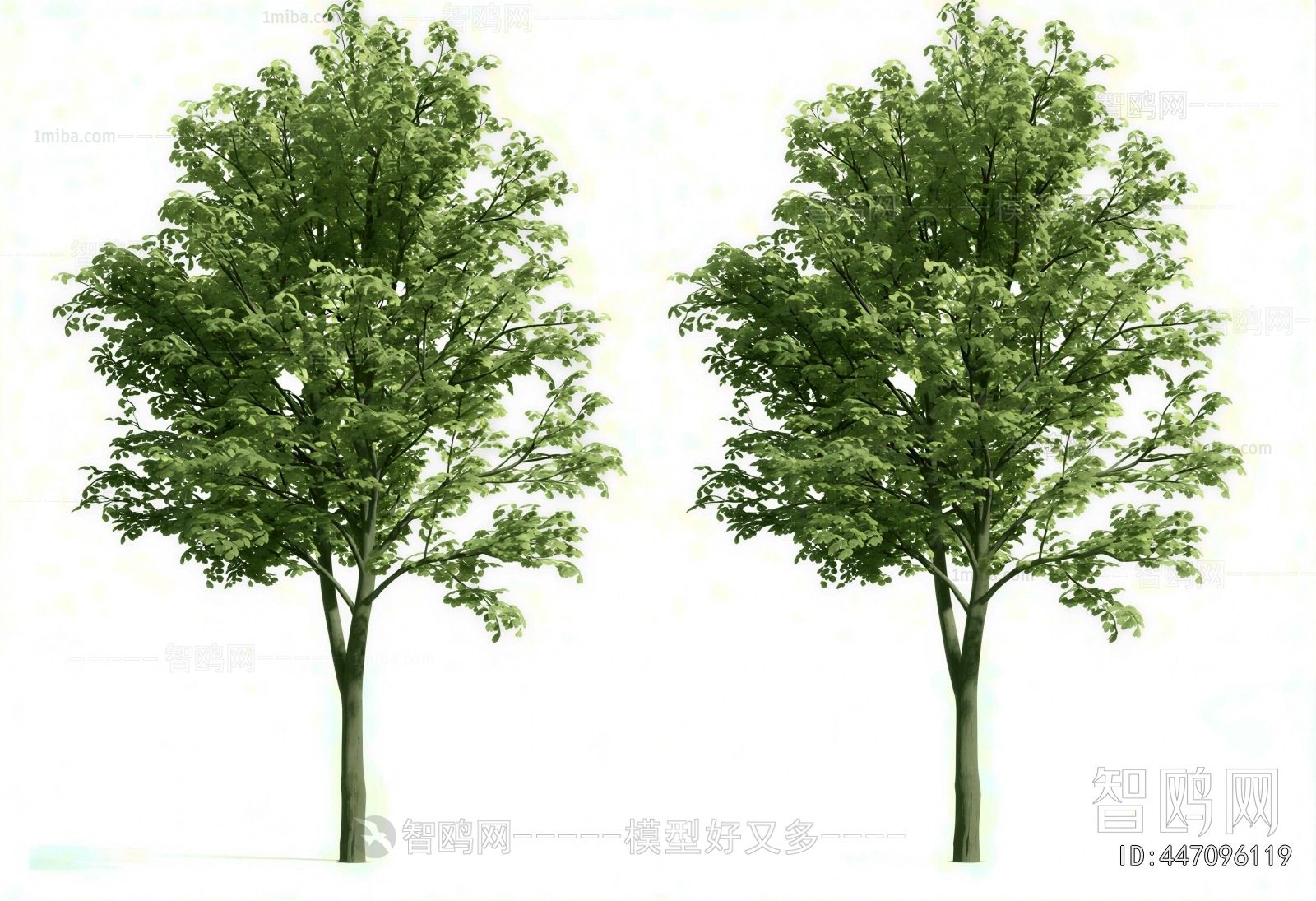 Modern Tree