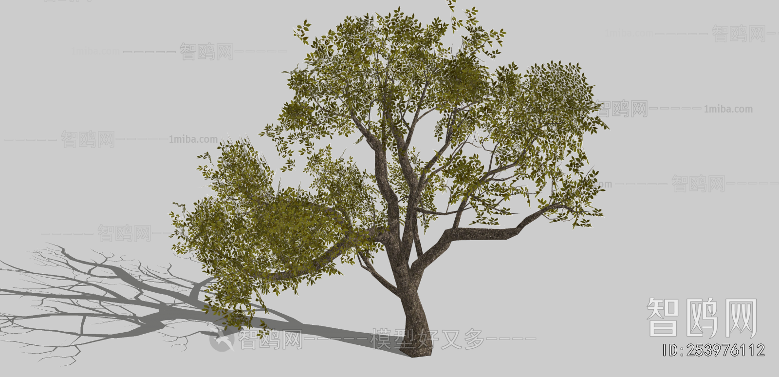Modern Tree