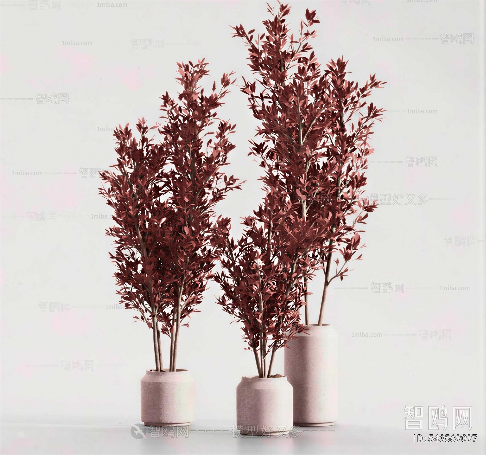 Modern Ground Green Plant Potted Plants