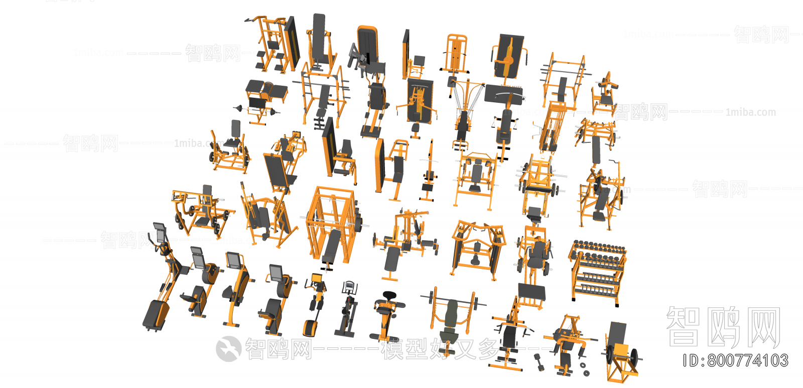 Modern Fitness Equipment