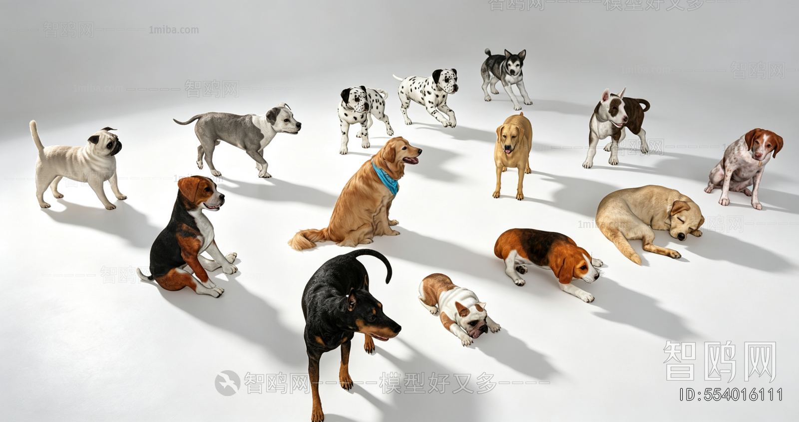 Modern Animal Dog