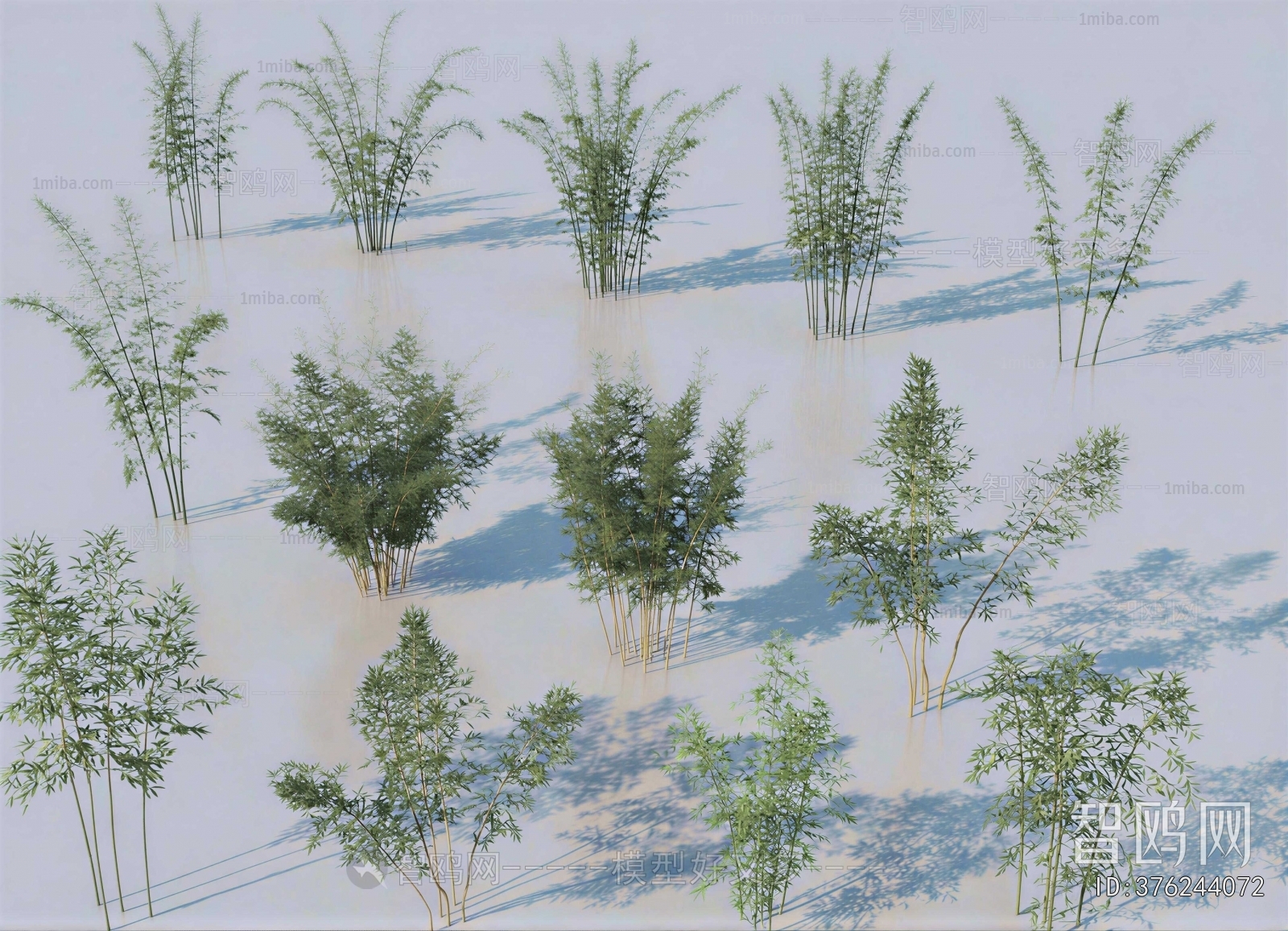 Modern Bamboo