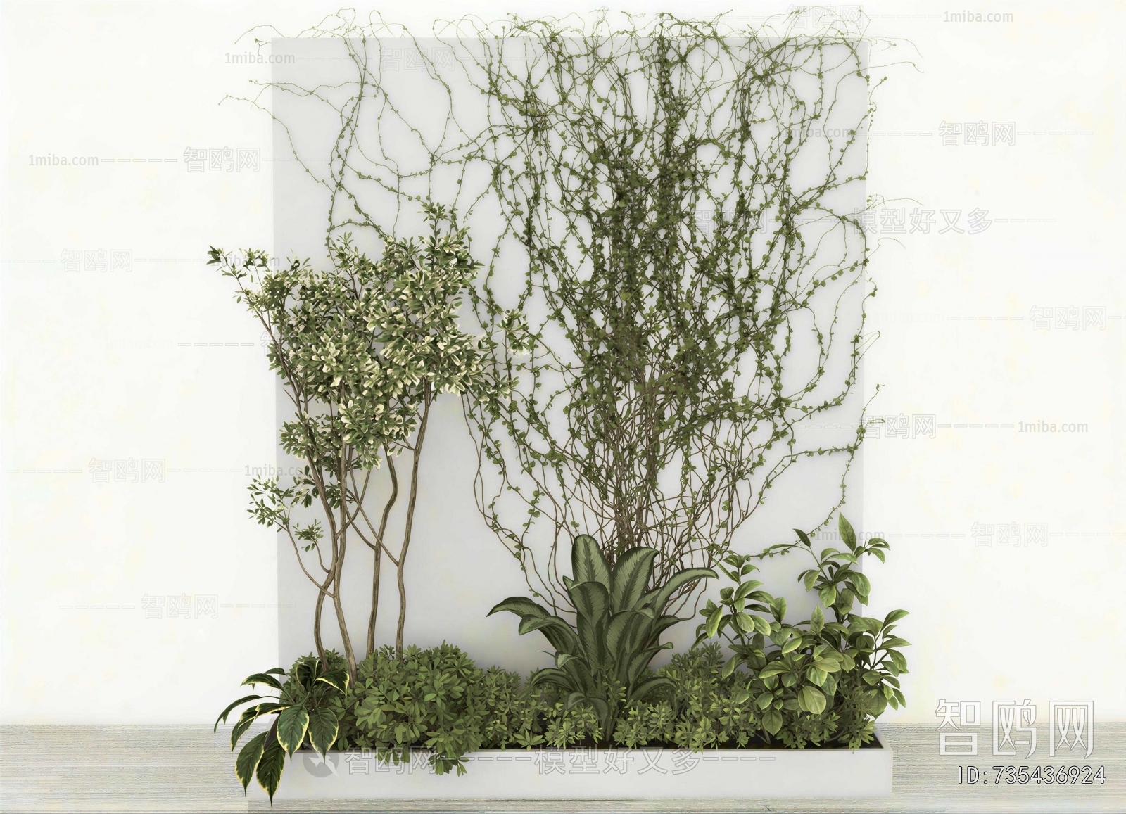 Modern Plant Wall