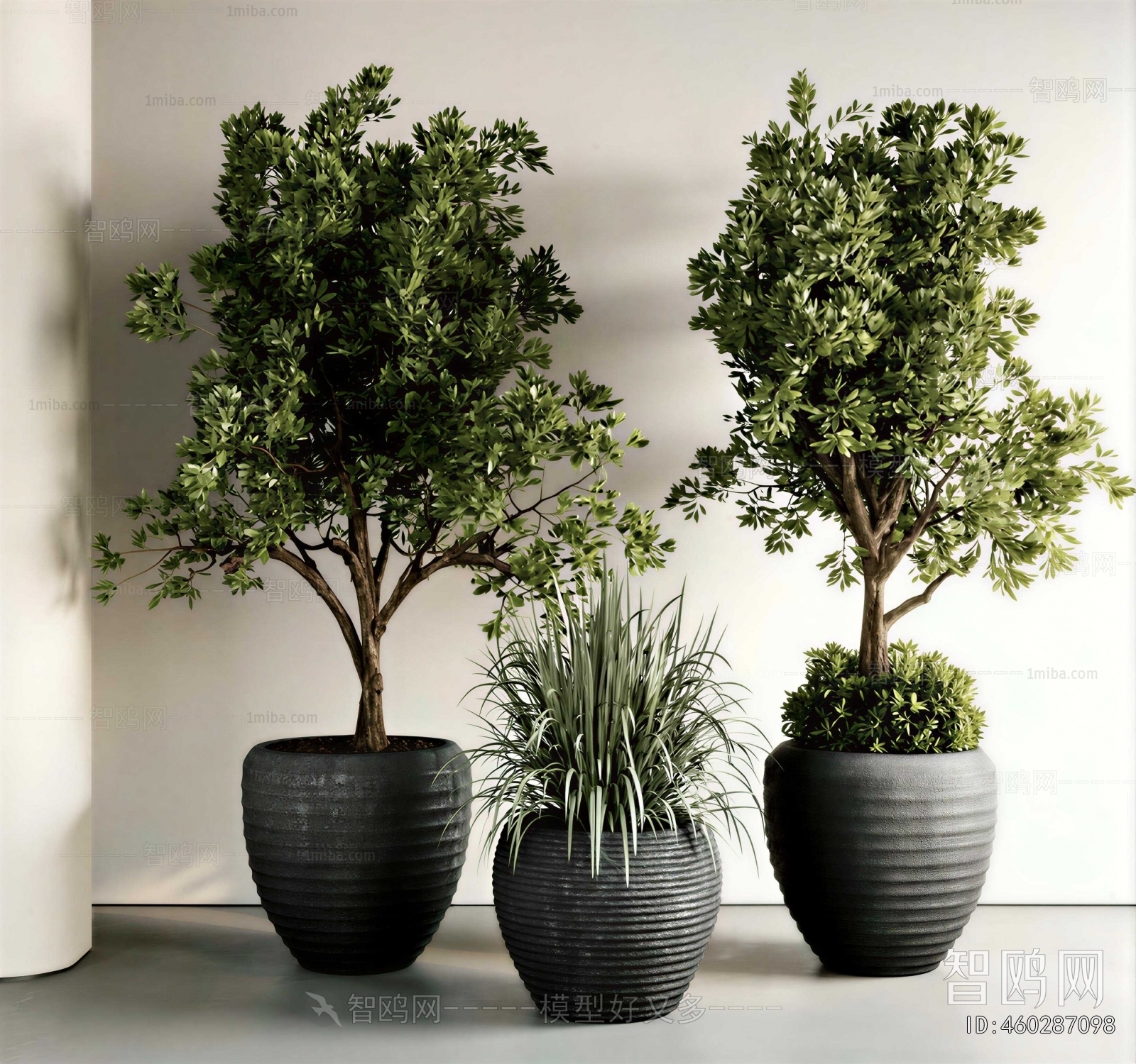 Modern Ground Green Plant Potted Plants