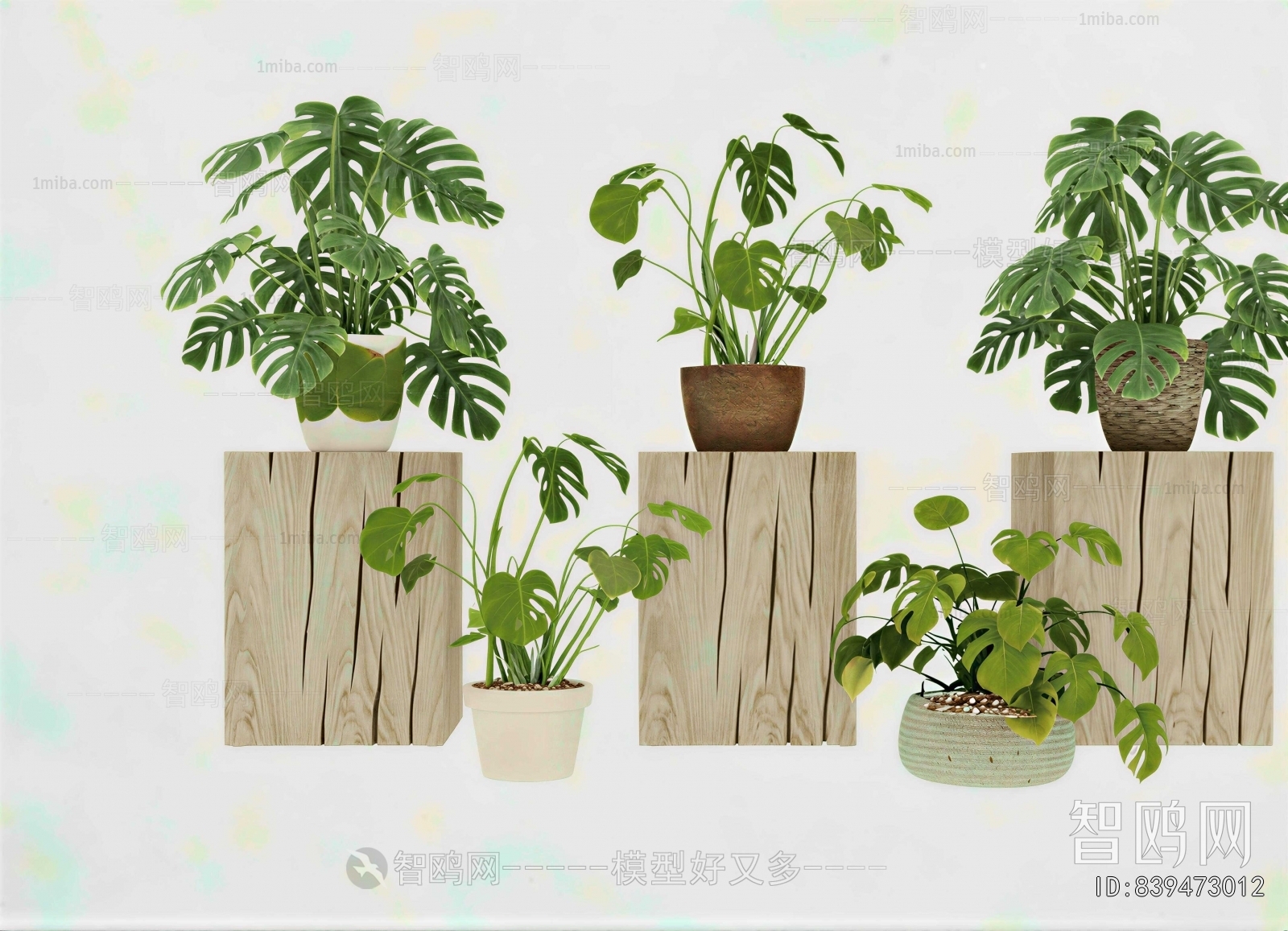 Modern Potted Green Plant