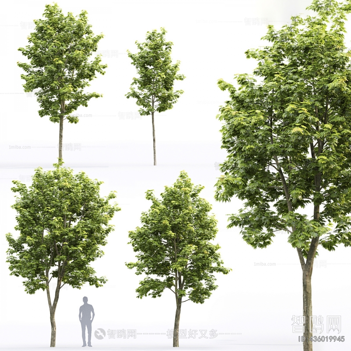 Modern Tree
