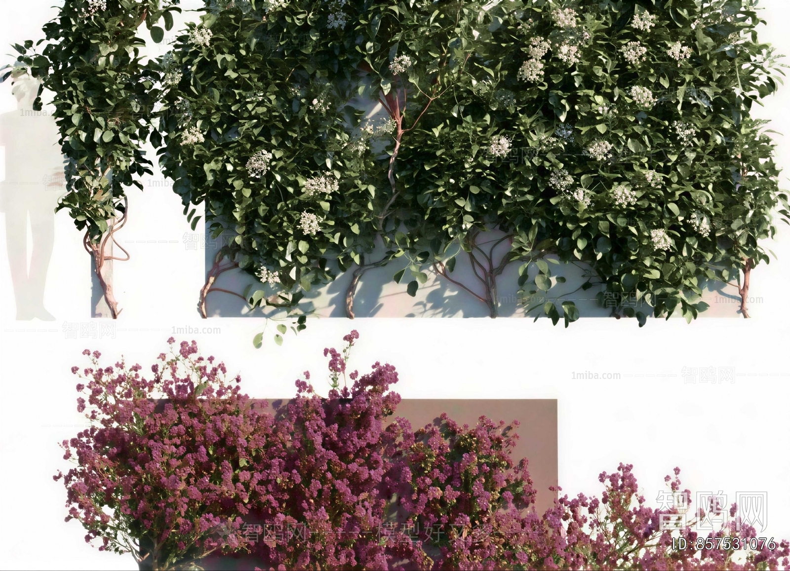 Modern Vine