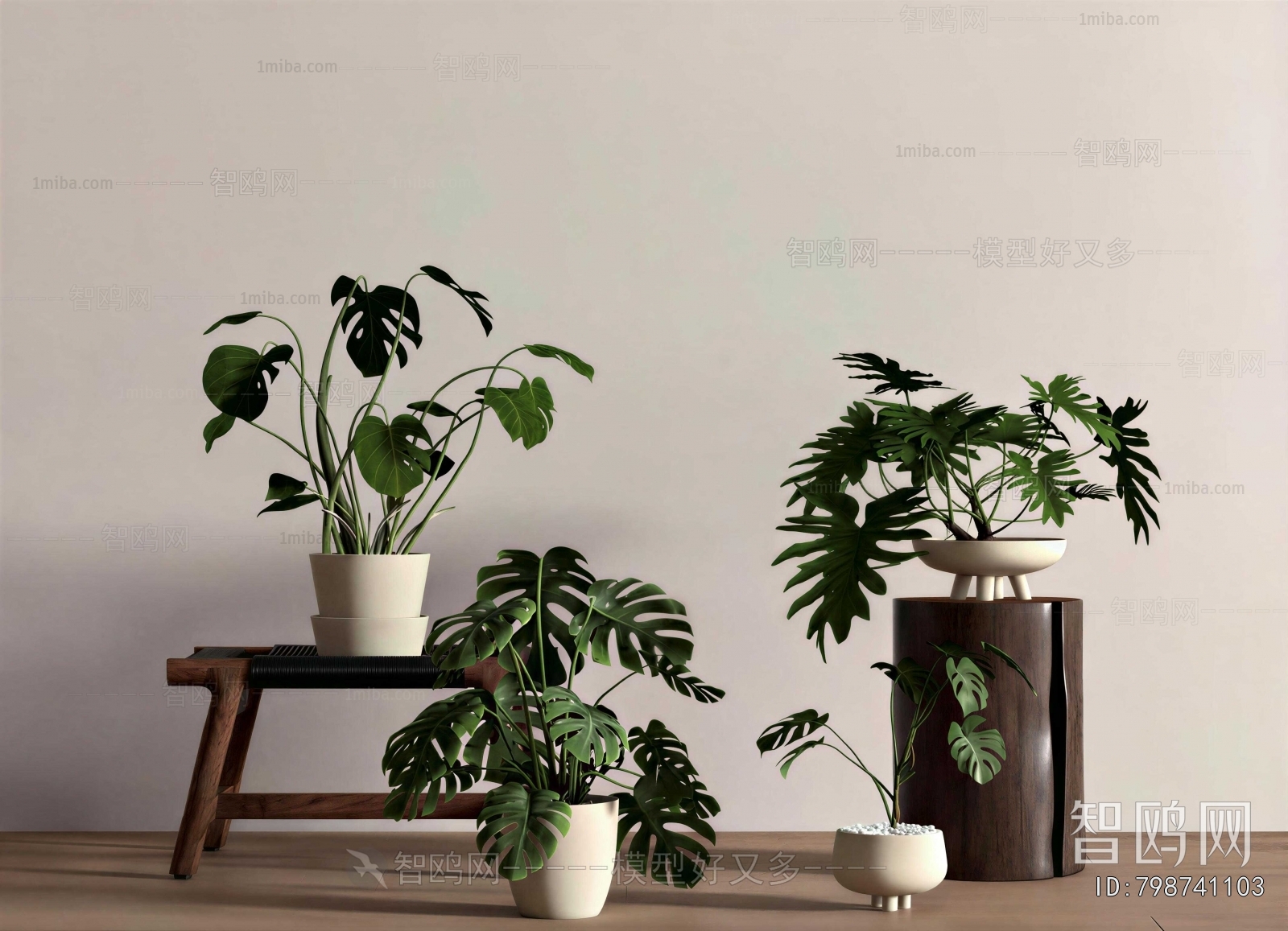 Modern Potted Green Plant