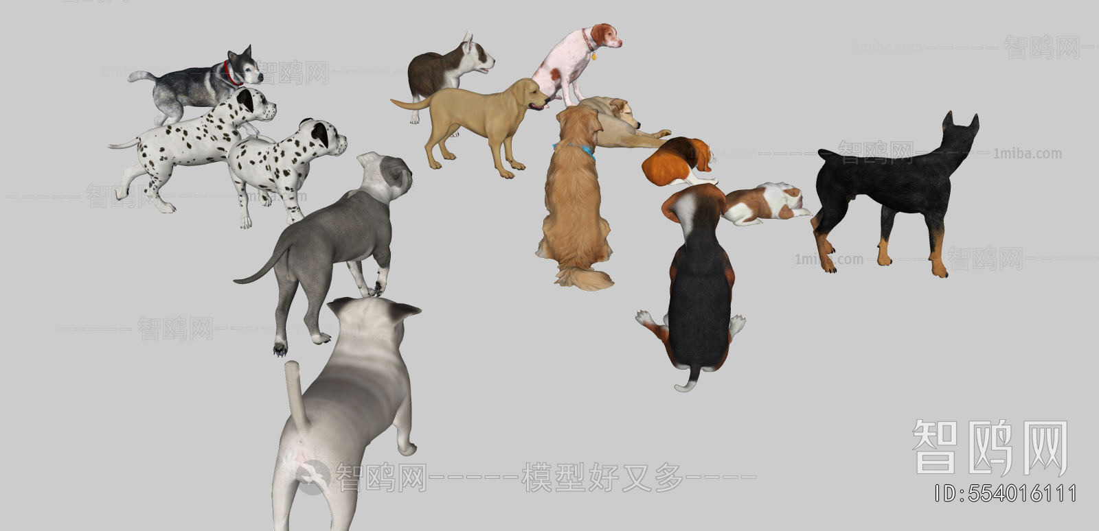 Modern Animal Dog